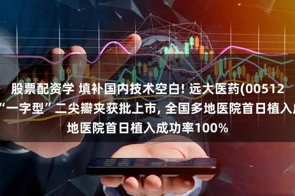 股票配资学 填补国内技术空白! 远大医药(00512)NeoNova“一字型”二尖瓣夹获批上市, 全国多地医院首日植入成功率100%