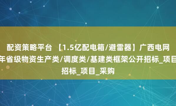 配资策略平台 【1.5亿配电箱/避雷器】广西电网2025年省级物资生产类/调度类/基建类框架公开招标_项目_采购