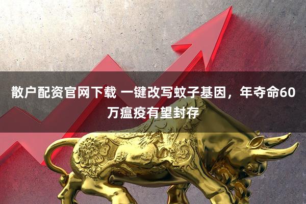 散户配资官网下载 一键改写蚊子基因，年夺命60万瘟疫有望封存